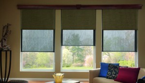 Boise Blinds, Shades, and Shutters,  solar shades